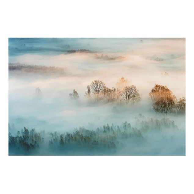 quadro com árvore Fog At Sunrise
