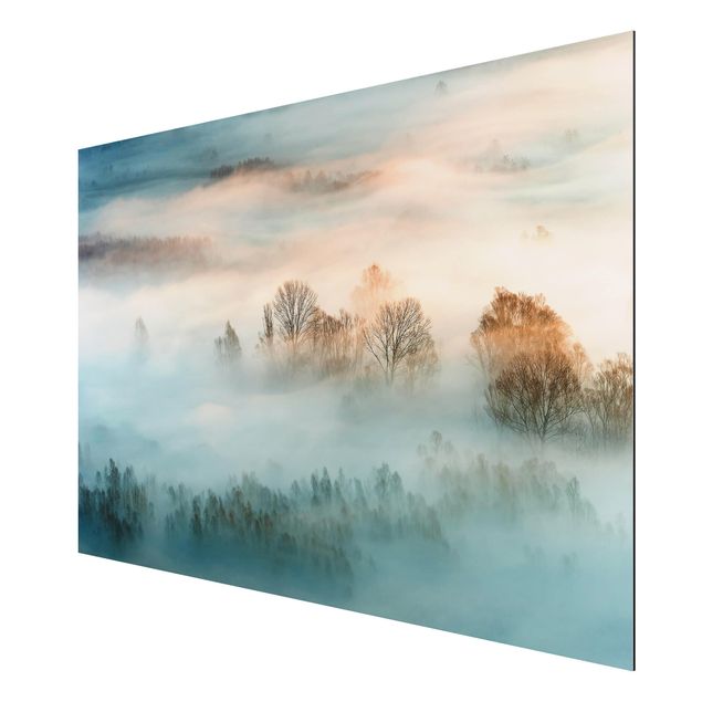 quadro com paisagens Fog At Sunrise