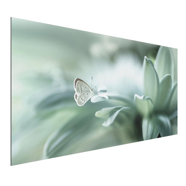 Quadros borboletas Butterfly And Dew Drops In Pastel Green
