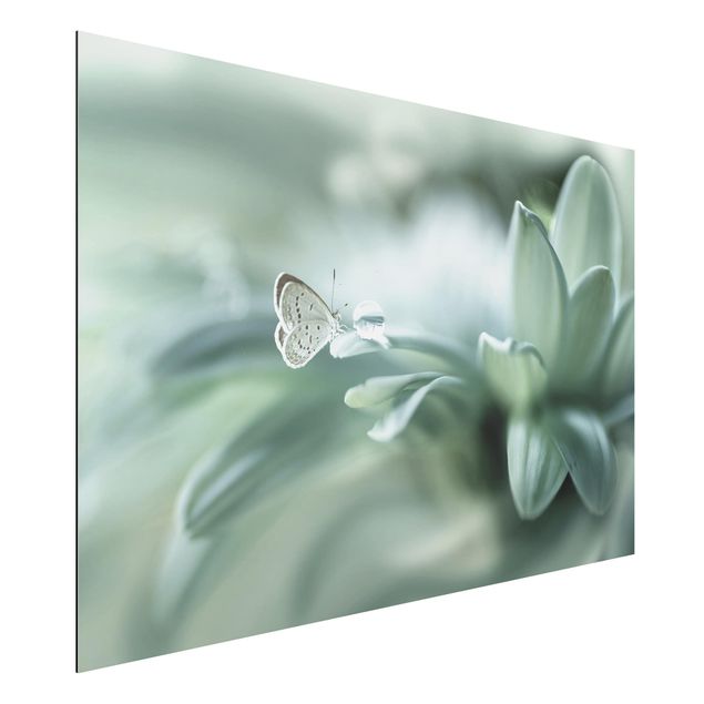 Quadros borboletas Butterfly And Dew Drops In Pastel Green