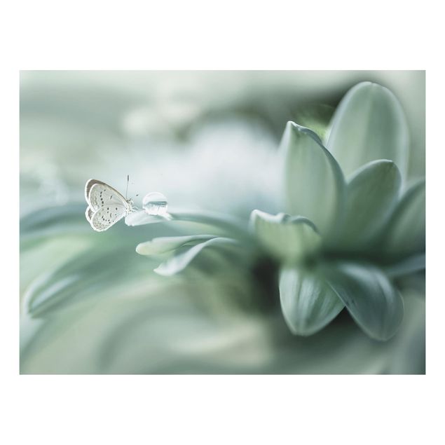 decoraçoes cozinha Butterfly And Dew Drops In Pastel Green