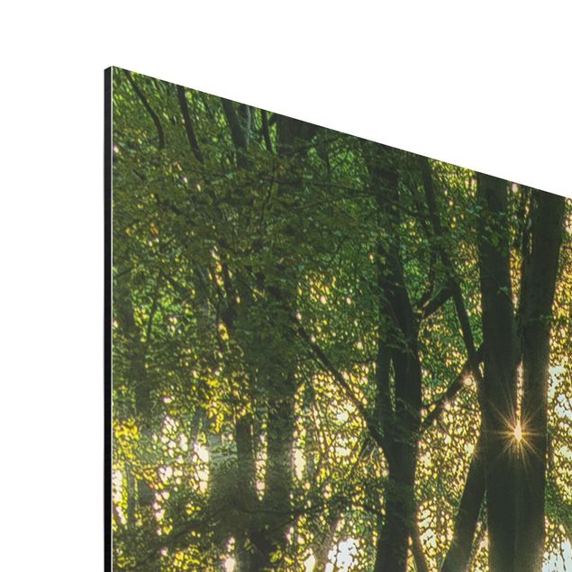 quadro com flores Sunny Day In The Forest
