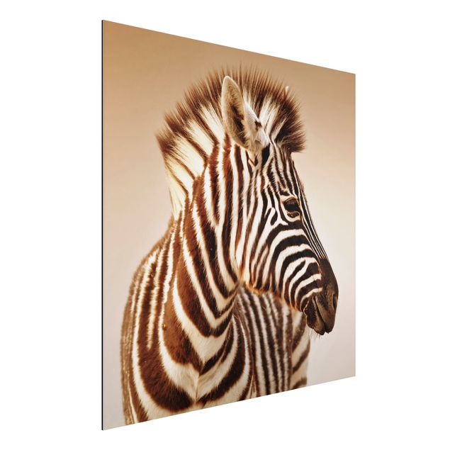 decoraçao para parede de cozinha Zebra Baby Portrait