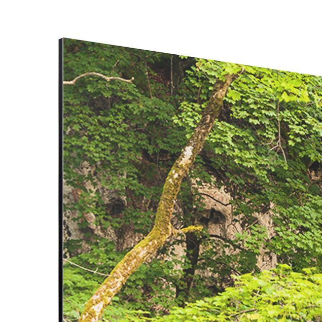 Quadros verdes Waterfall Plitvice Lakes