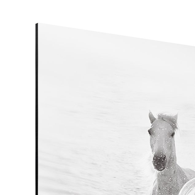 quadro decorativo mar White Horses In The Ocean