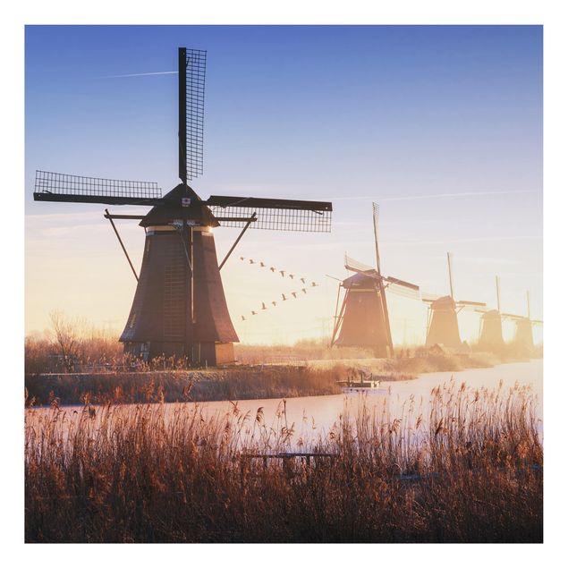 Quadros cidades Windmills Of Kinderdijk