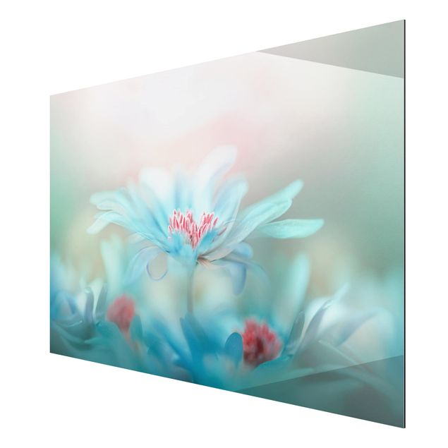 quadros de flores Delicate Flowers In Pastel