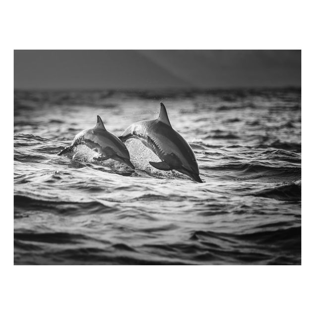 Quadros peixes Two Jumping Dolphins