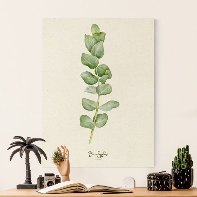 decoraçao para parede de cozinha Watercolour Botany Eucalyptus