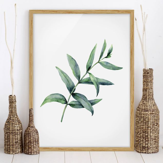 decoraçao para parede de cozinha Waterclolour Eucalyptus l