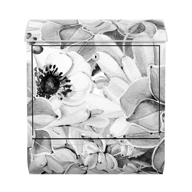 Caixas de correio em preto e branco Watercolour Succulent With Flower In Black And White