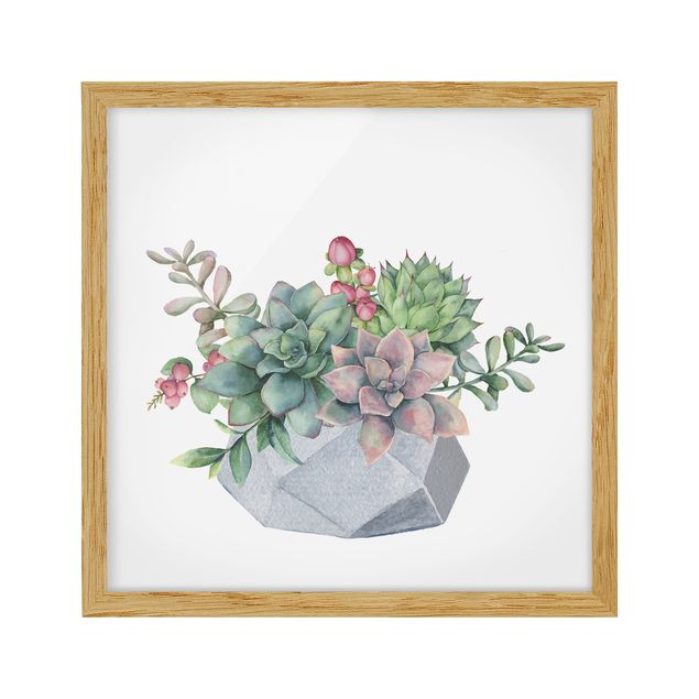 quadro com flores Watercolour Succulents Illustration