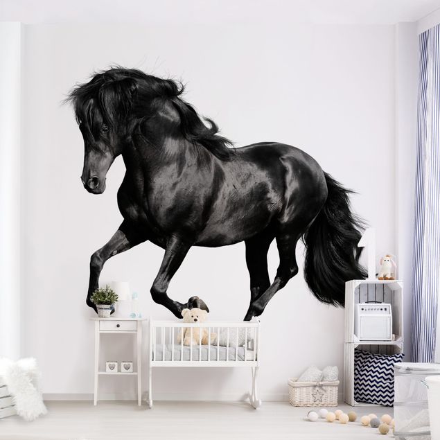 papel de parede com animais Arabian Stallion