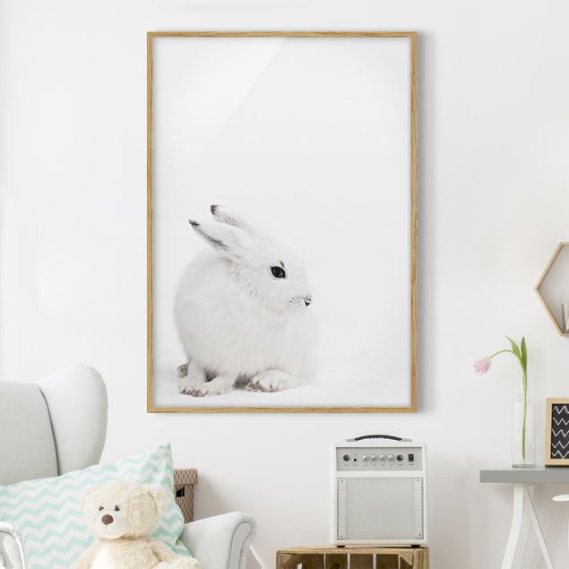decoração quarto bebé Arctic Hare