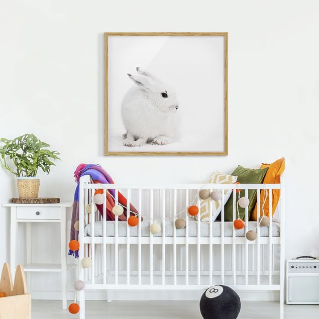 quadros modernos para quarto de casal Arctic Hare