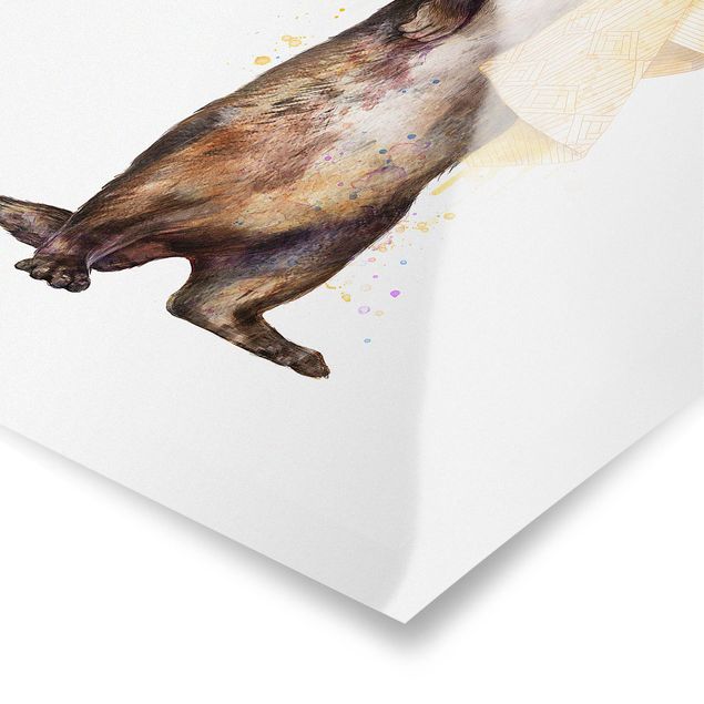 Quadros de Laura Graves Art Illustration Otter With Towel Painting White