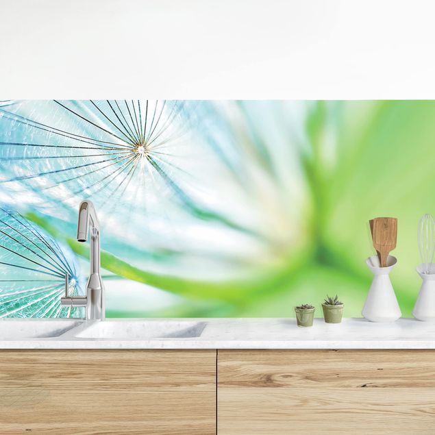 decoraçao para parede de cozinha Abstract Dandelion