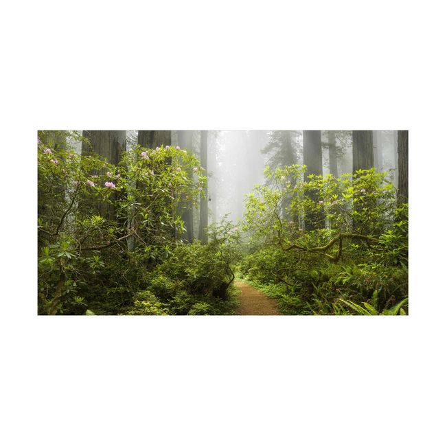 Tapetes de floresta Misty Forest Path
