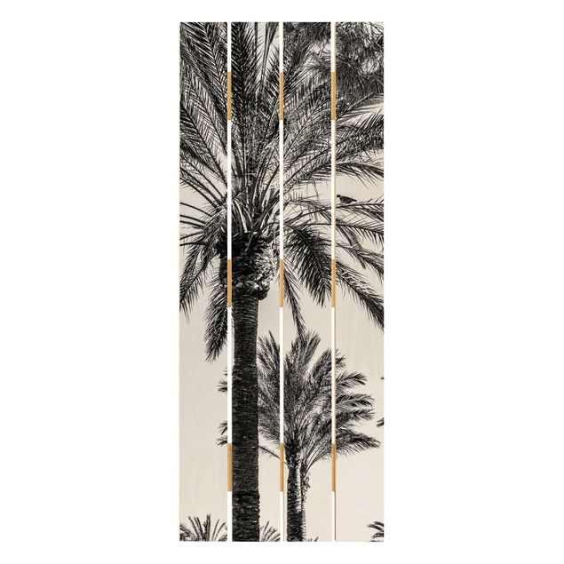 Quadros de Uwe Merkel Palm Trees At Sunset Black And White