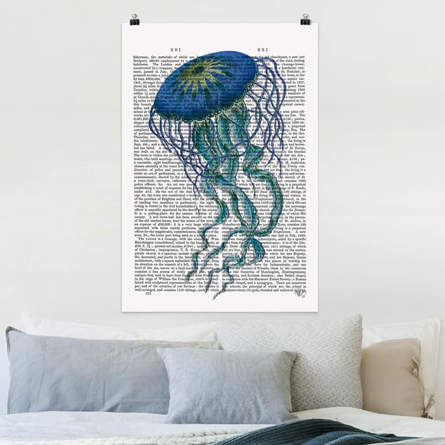 decoraçoes cozinha Animal Reading - Jellyfish