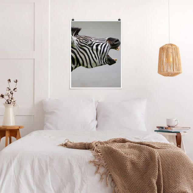 Posters animais Roaring Zebra