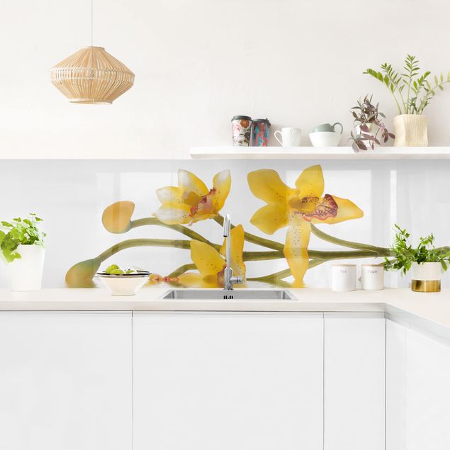 Backsplash de cozinha flores Saffron Orchid Waters
