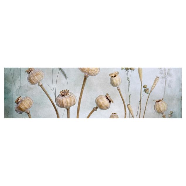 Backsplash de cozinha Dried Poppy Flower