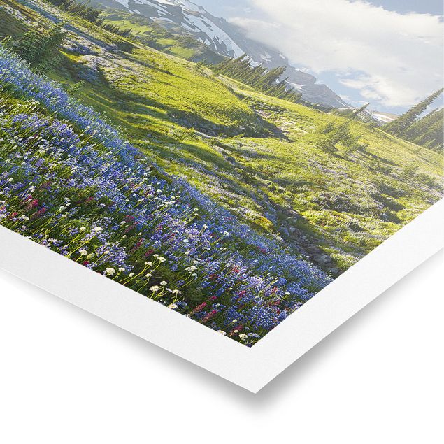 Posters flores Mountain Meadow With Blue Flowers in Front of Mt. Rainier