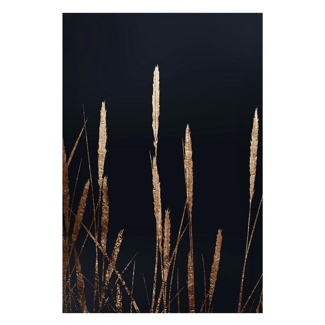 Quadros peixes Graphical Plant World - Golden Reed
