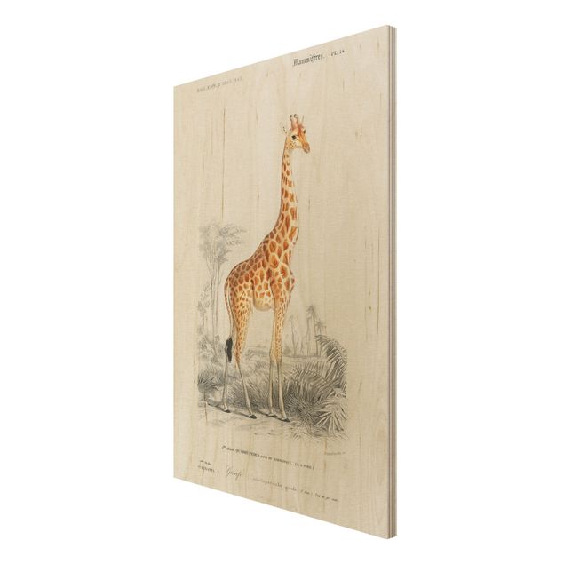 Quadros decorativos Vintage Board Giraffe