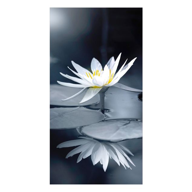 Revestimento de parede para duche Lotus Reflection In The Water