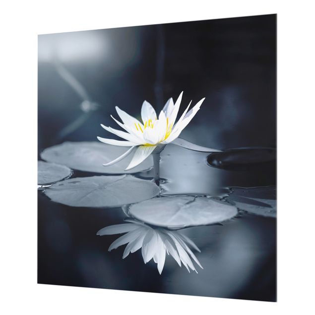 Painel anti-salpicos de cozinha Lotus Reflection In The Water