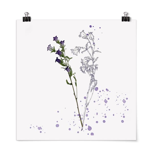 Quadros florais Botanical Watercolour - Bellflower