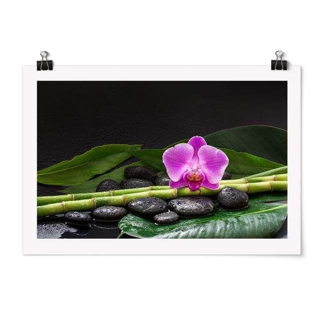 Posters quadros famosos Green Bamboo With Orchid Flower