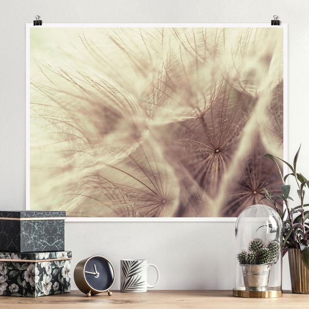 decoraçao para parede de cozinha Detailed Dandelion Macro Shot With Vintage Blur Effect