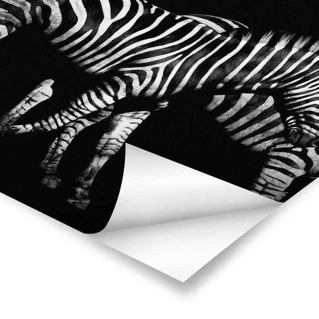 quadros em preto e branco Zebra In The Dark