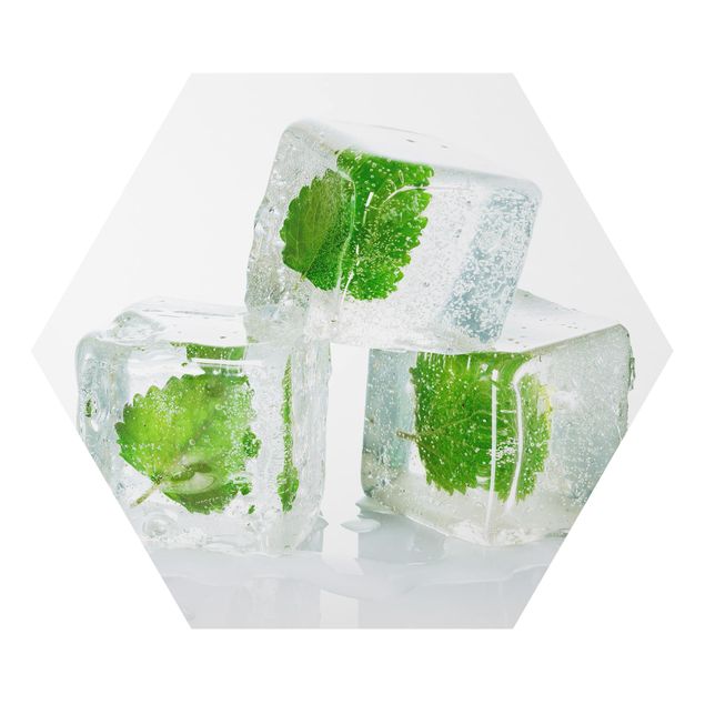 Quadros hexagonais Three Ice Cubes With Lemon Balm
