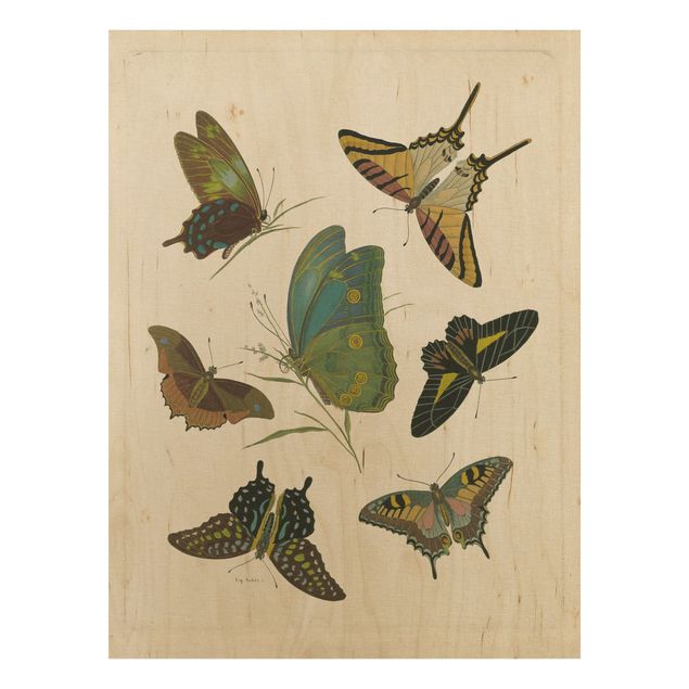 Quadros em madeira vintage Vintage Illustration Exotic Butterflies