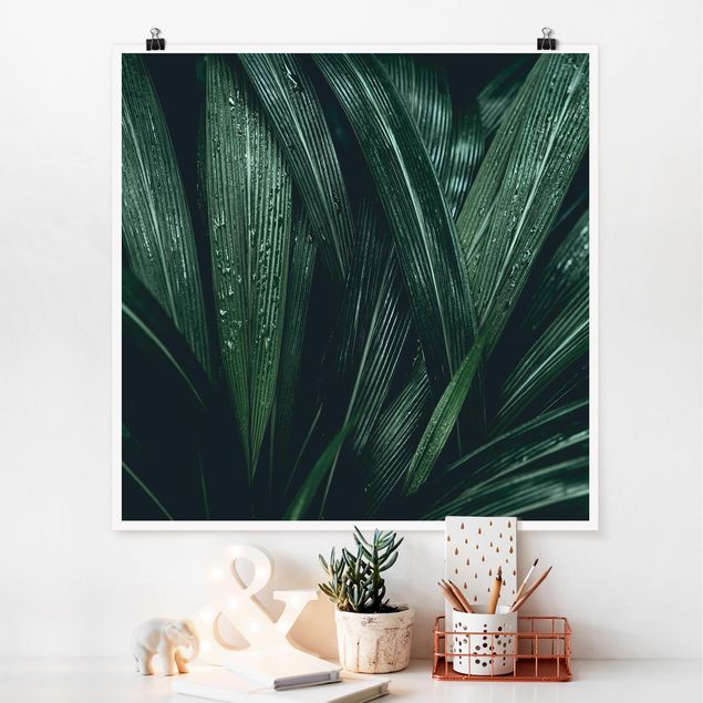 Posters flores Green Palm Leaves