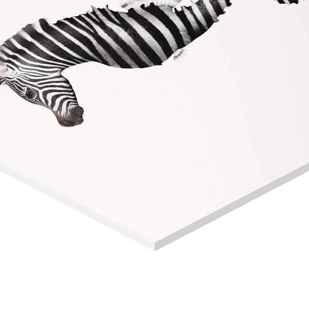 Quadros forex Seahorse With Zebra Stripes