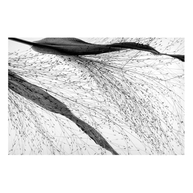 Quadros magnéticos flores Delicate Reed With Subtle Buds Black And White