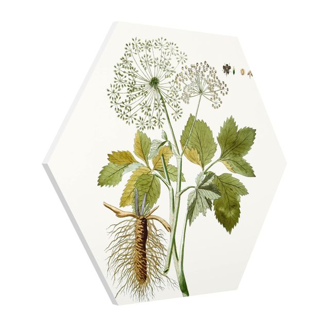 quadros modernos para quarto de casal Wild Herbs Board IV