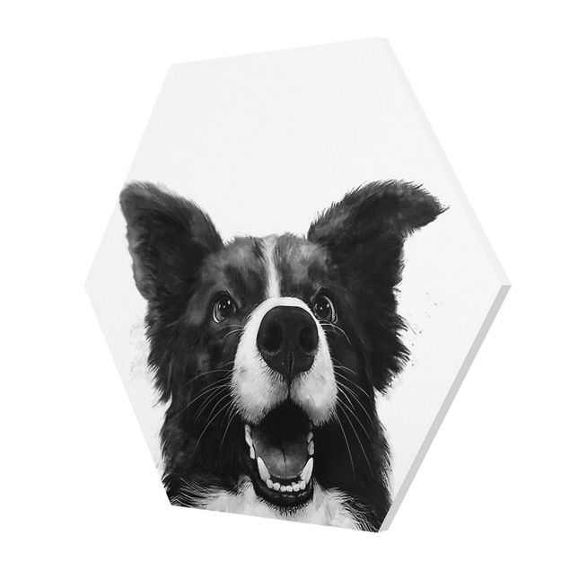 quadros preto e branco para decoração Illustration Dog Border Collie Black And White Painting