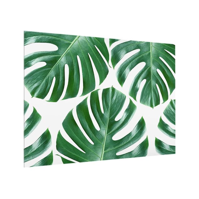 Painel anti-salpicos de cozinha padrões Tropical Green Leaves Monstera