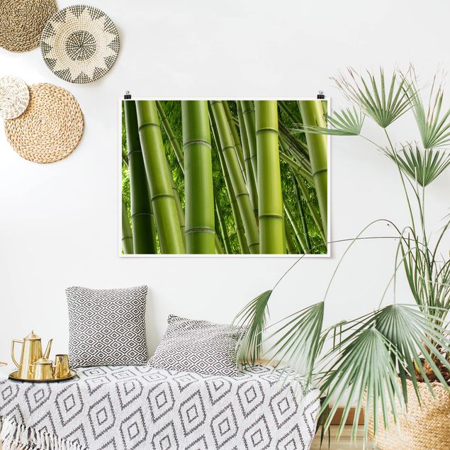 quadro com paisagens Bamboo Trees No.2