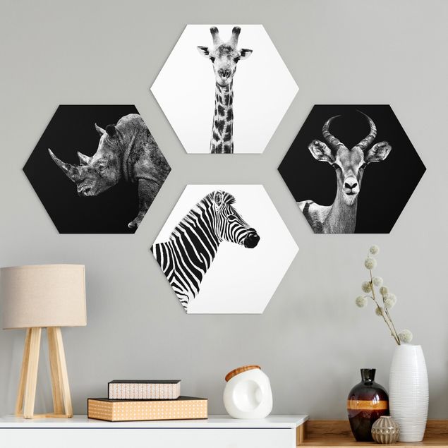 decoraçao para parede de cozinha Safari Quartet