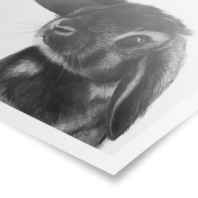 Quadros preto e branco Illustration Rabbit Black And White Drawing