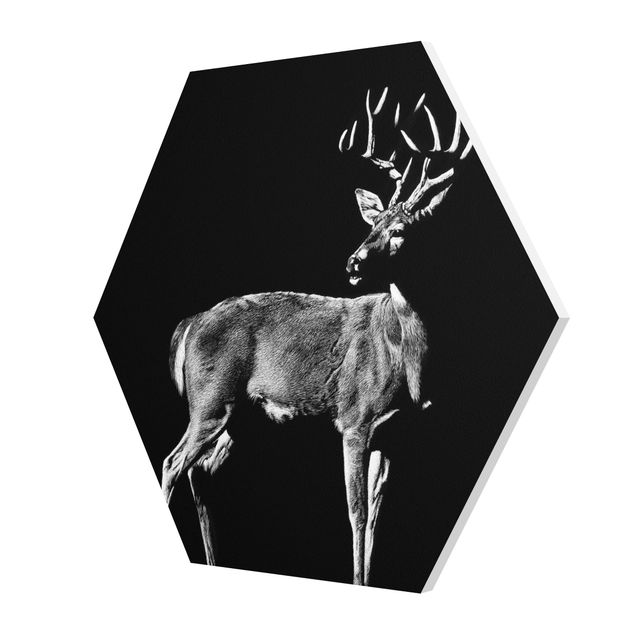 quadros em preto e branco Deer In The Dark