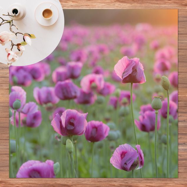 Tapete para varandas Purple Poppy Flower Meadow In Spring