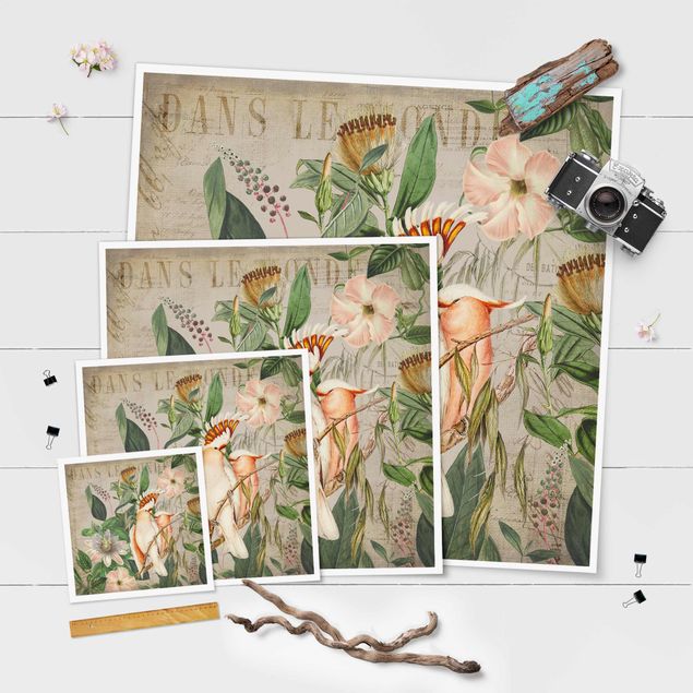posters decorativos Colonial Style Collage - Galah